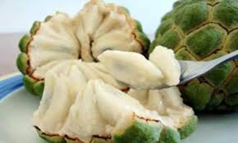 Custard apply health benefits and problems full details are here