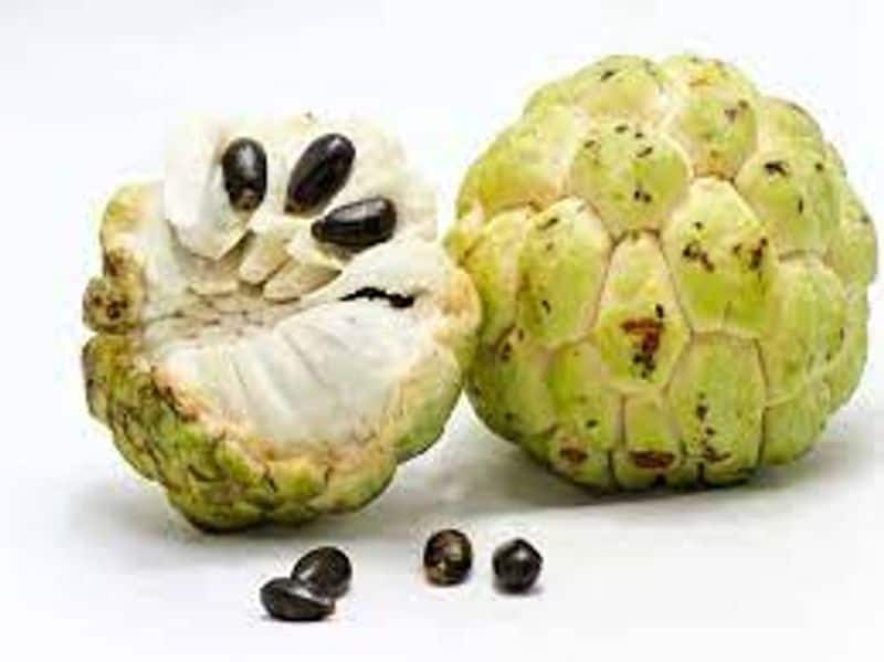 health tips is custard apple good for diabetes patients in tamil mks