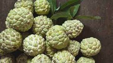health benefits of custard apple health benefits of custard apple