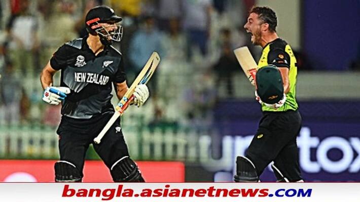 T20 WC 2021, Final, NZ vs AUS - School friends Marcus Stoinis and Daryl Mitchell to face off ALB T20 WC 2021, Final, NZ vs AUS - School friends Marcus Stoinis and Daryl Mitchell to face off ALB