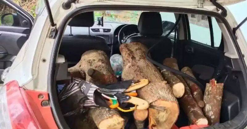 three arrested in wayand for sandalwood theft case