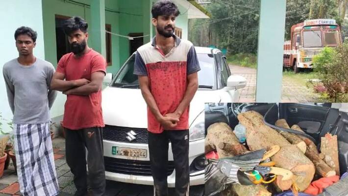 three arrested in wayand for sandalwood theft case three arrested in wayand for sandalwood theft case
