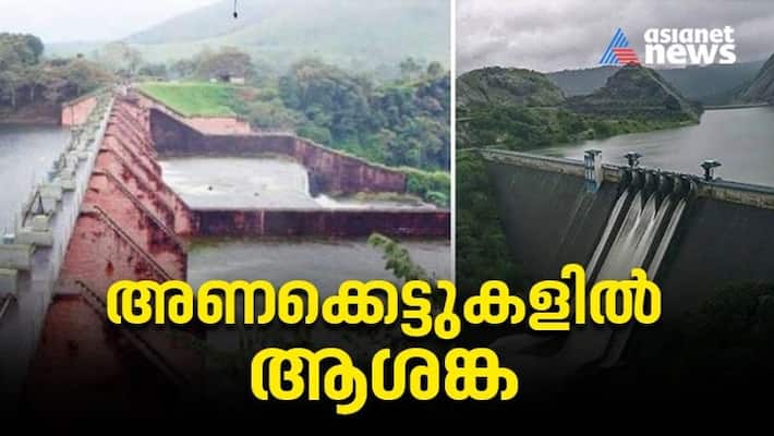 Kerala Rains Live Updates Water Level Rises In Mullapperiyar And Idukki Kerala Rains Live Updates Water Level Rises In Mullapperiyar And Idukki