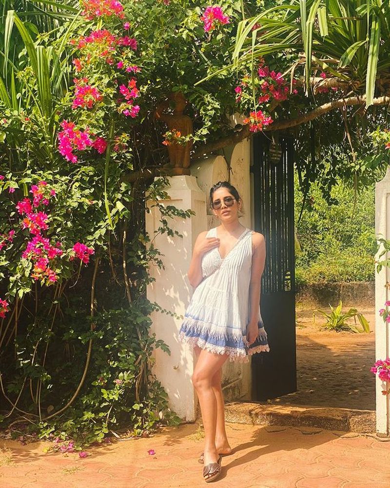Nabha Natesh simple and hot photos became viral