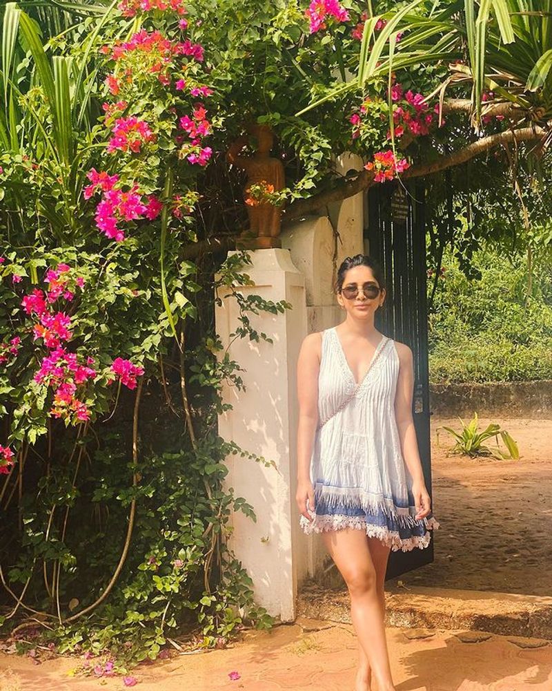 Nabha Natesh simple and hot photos became viral