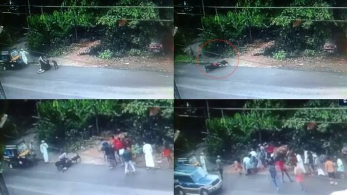 Compensation and treatment for pet dog attacked victim Human Rights Commission Compensation and treatment for pet dog attacked victim Human Rights Commission
