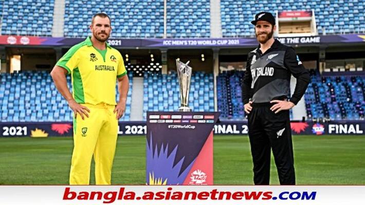 T20 World Cup 2021, Final, NZ vs AUS - Team Analysis, strength and weakness ALB T20 World Cup 2021, Final, NZ vs AUS - Team Analysis, strength and weakness ALB