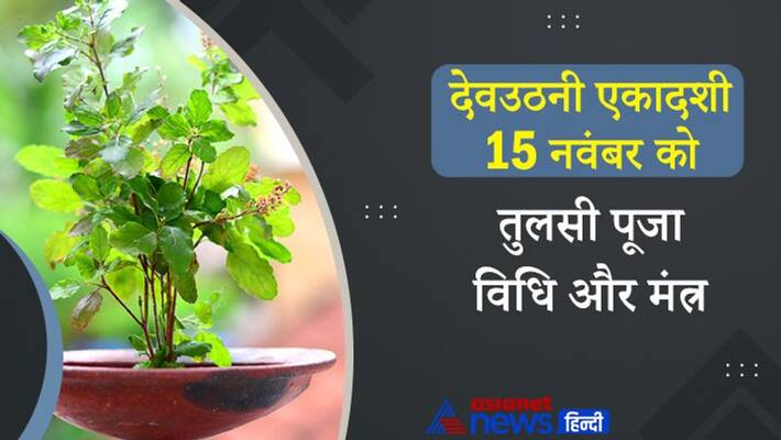 Dev Uthani Ekadashi 2021 on 15th November Hinduism Tradition Tulsi Shaligram vivah tulsi puja vidhi and mantra MMA Dev Uthani Ekadashi 2021 on 15th November Hinduism Tradition Tulsi Shaligram vivah tulsi puja vidhi and mantra MMA