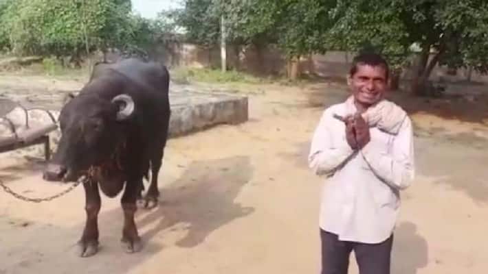 madhya pradesh bhind police station interesting case on man appeals buffalo not giving milk madhya pradesh bhind police station interesting case on man appeals buffalo not giving milk