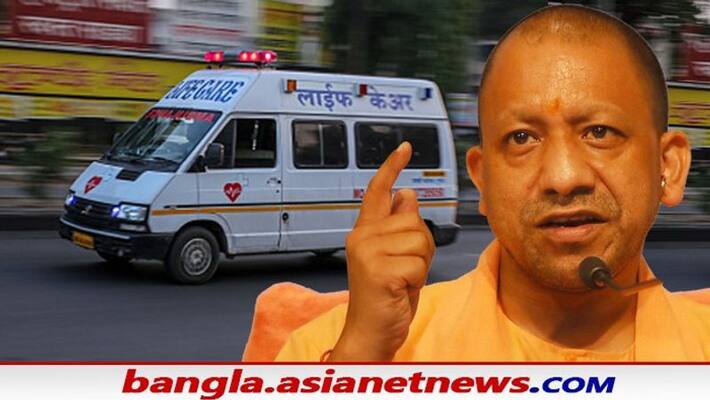 UP govt decides to start ambulance facility for cow UP govt decides to start ambulance facility for cow