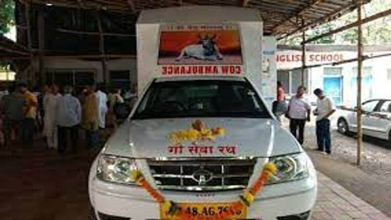 Ambulance service for cows to be launched in UP