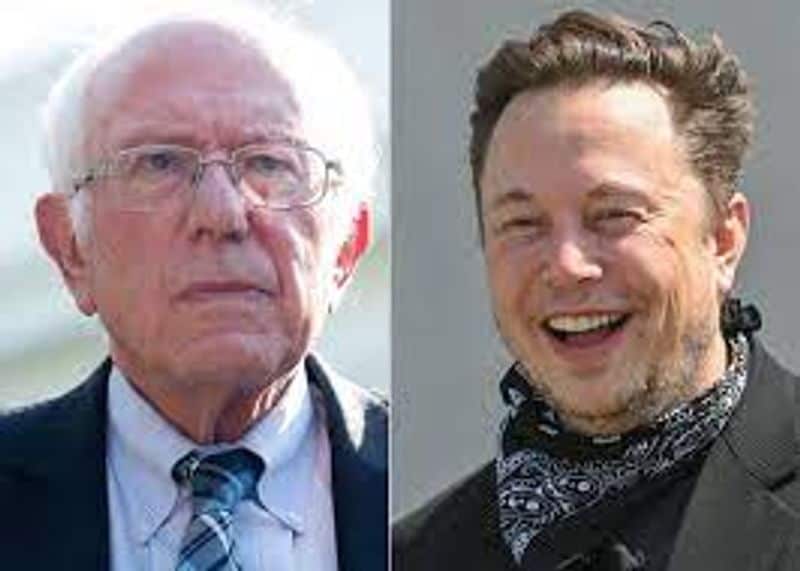I keep forgetting you're still alive:' Elon Musk trolls Bernie Sanders on Twitter