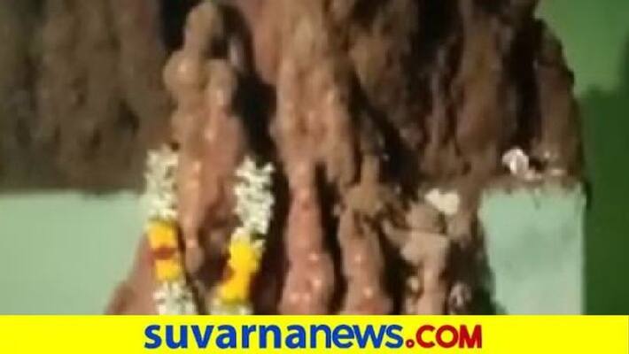 water Spilling inside Of the termitarium in Chitradurga house snr water Spilling inside Of the termitarium in Chitradurga house snr