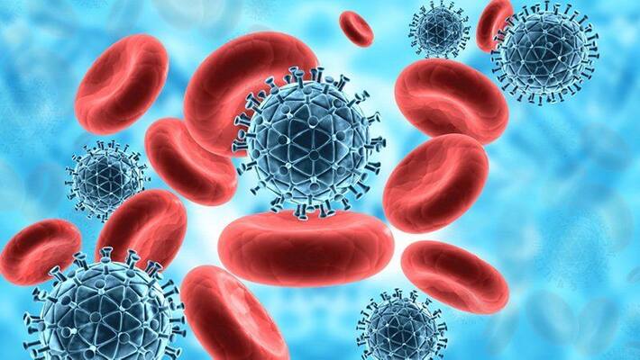 These foods in your diet might be damaging your immunity These foods in your diet might be damaging your immunity