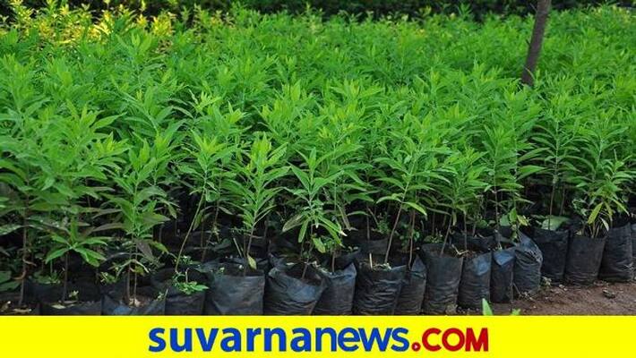 Is MSP Agrotech Comapany Cheated to Farmers in Hubballi Is MSP Agrotech Comapany Cheated to Farmers in Hubballi
