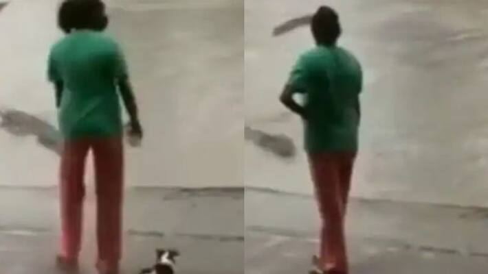 Woman uses her slippers to scare off crocodile in viral video Woman uses her slippers to scare off crocodile in viral video