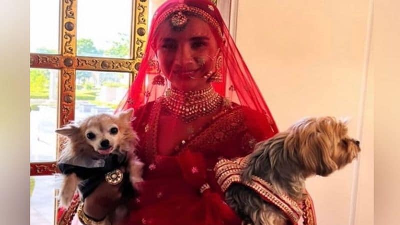 rajkummar rao patralekhaa wedding, bollywood couple marriage photos viral KPJ