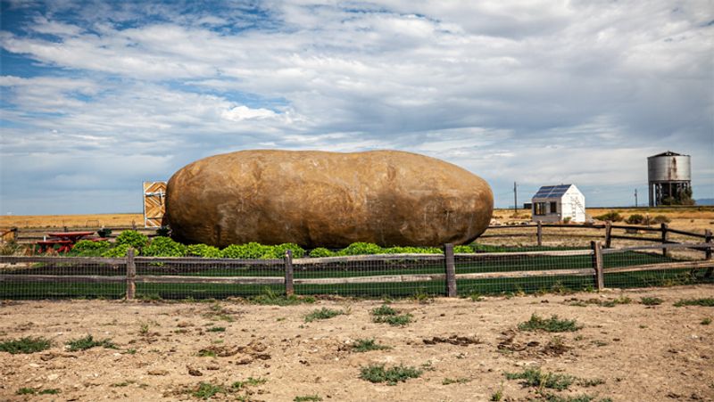 Big Potato Hotel in Idaho: Know its specialist and per day cost dva