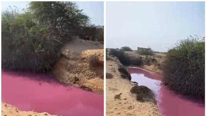 Pink water body in northern Qatar goes viral on social media Pink water body in northern Qatar goes viral on social media