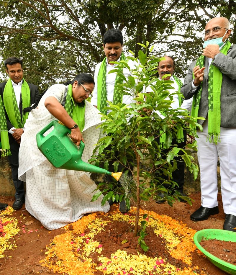 TS High Court Chief Justice Satish Chandra Sharma participated in Green India Challenge and planted seedlings