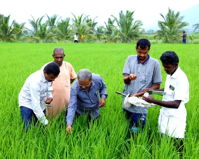 isha conducted agricultural field training on pest management entomologist Mr Selvam conducted
