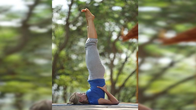 Health Tips: 5 simple yoga stretches which can help to relieve cough and cold in winter dva