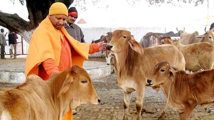 up yogi government decision abhinav ambulance for cows up yogi government decision abhinav ambulance for cows
