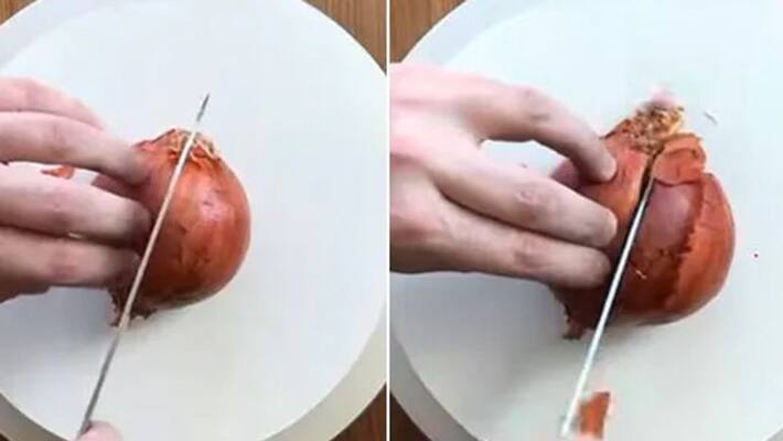 cake maker made onion like cake and shared its video cake maker made onion like cake and shared its video
