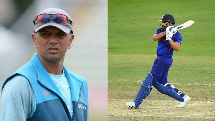 IND vs NZ Team India need own strategy to win in T20I says Rahul Dravid Rohit Sharma IND vs NZ Team India need own strategy to win in T20I says Rahul Dravid Rohit Sharma