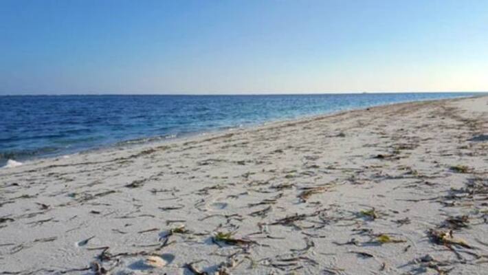 spend one crore Clean Beach then dumps waste back in the sea spend one crore Clean Beach then dumps waste back in the sea
