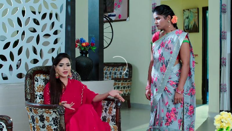 Aditya advises Karthik to reveal the truth to Deepa in todays Karthika deepam serial episode