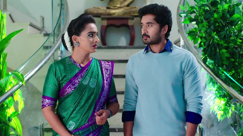 Aditya advises Karthik to reveal the truth to Deepa in todays Karthika deepam serial episode
