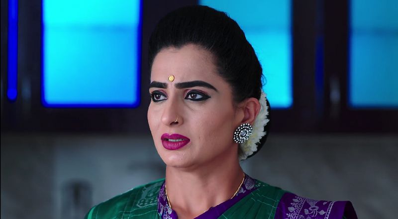 Aditya advises Karthik to reveal the truth to Deepa in todays Karthika deepam serial episode