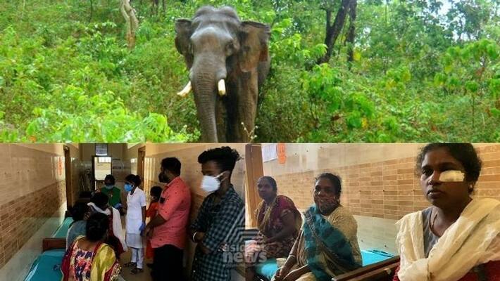 wild elephant attack in pooppara wild elephant attack in pooppara