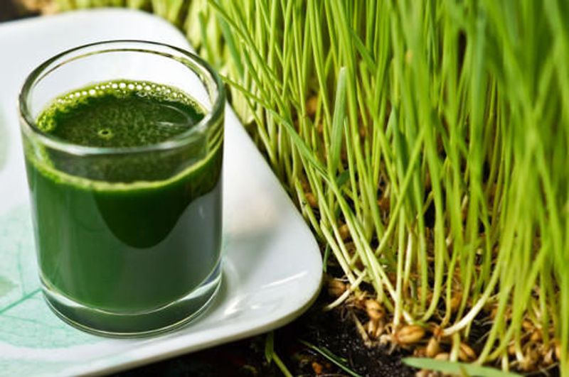 Best home remedies for toothache full details are here