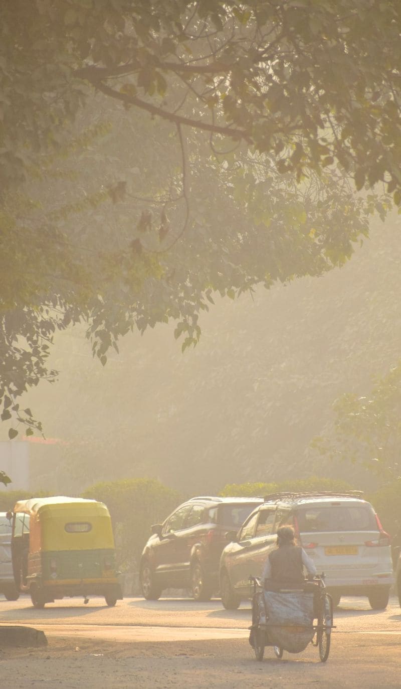 Supreme court criticize central and sate governments in delhi air pollution case