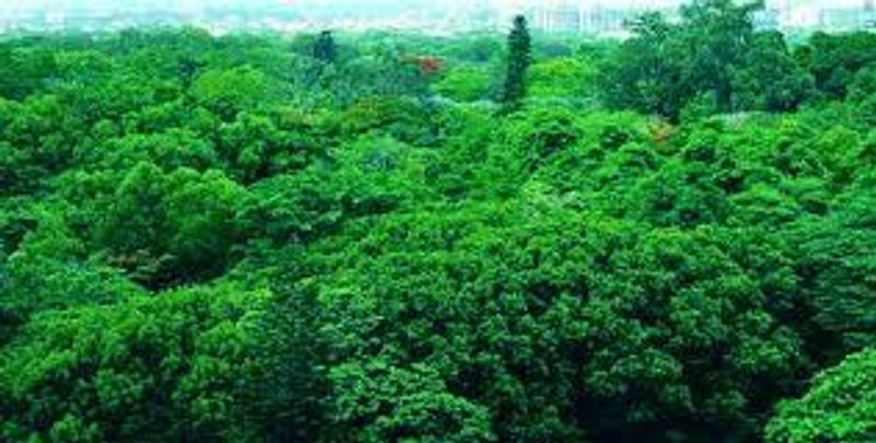 Explore these attracting winsome states of india full list are here