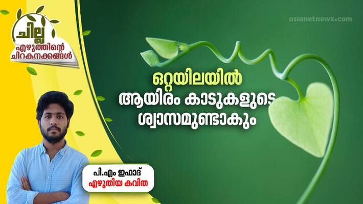 chilla malayalam poem by PM Ifad chilla malayalam poem by PM Ifad