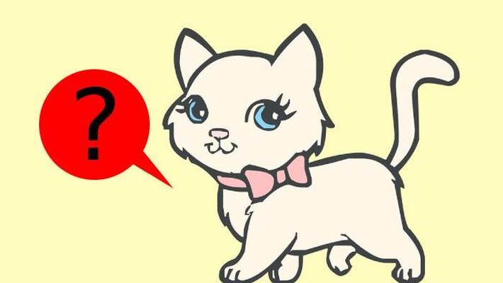 viral talking cat and complaint viral talking cat and complaint