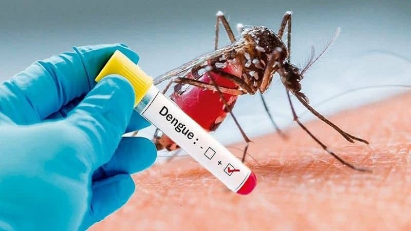 Indications of outbreak of dengue fever in kerala Expert warns of extreme spread