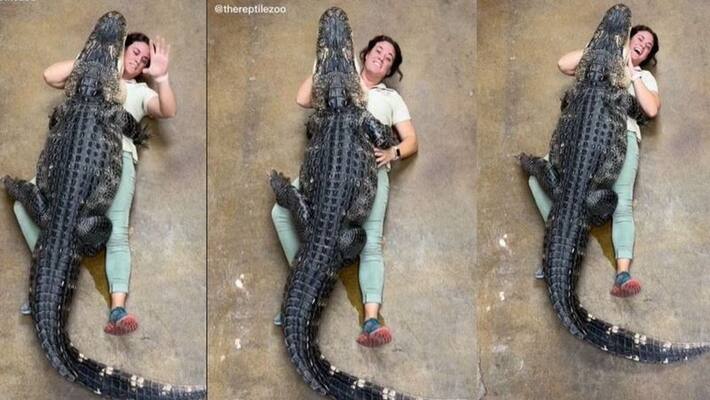 Zookeeper hugs huge alligator video ends with a funny incident Zookeeper hugs huge alligator video ends with a funny incident