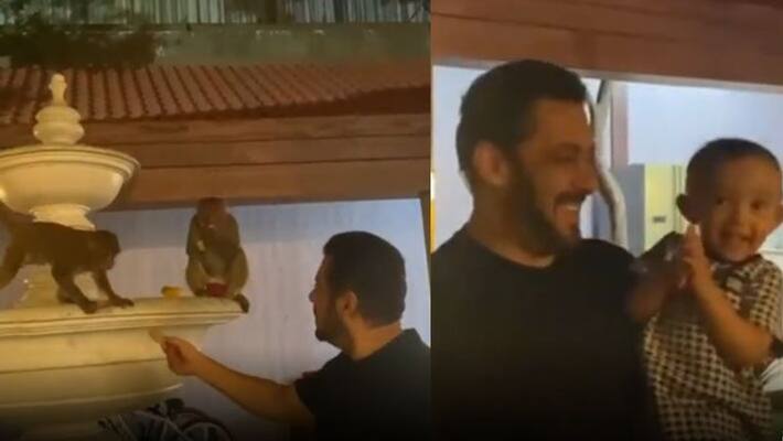 salman khan gave biscuits to monkeys niece ayat video viral KPJ salman khan gave biscuits to monkeys niece ayat video viral KPJ