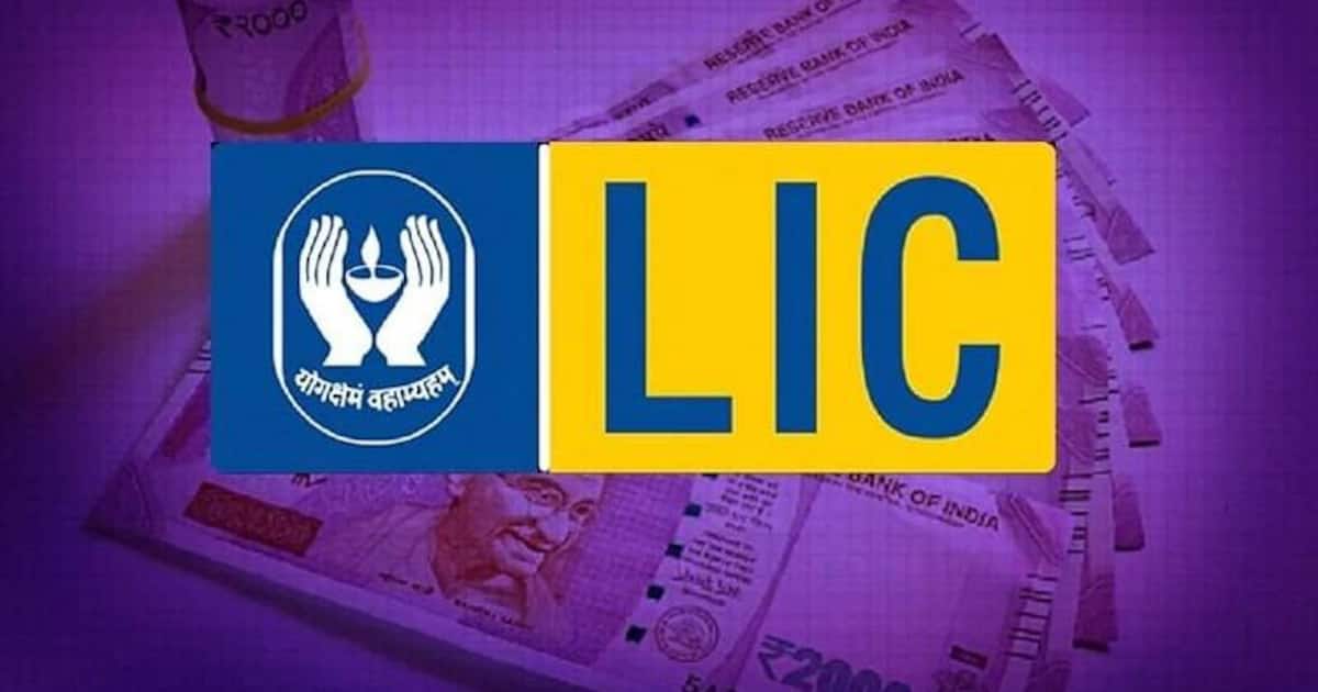 எல்ஐசி பாலிசி உங்களிடம் இருக்கா? நீங்களும் பங்குகளை வாங்கலாம்: செபியிடம் பங்குகள் ஒப்படைப்பு