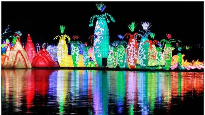 Dubai Garden Glow all set for its Seventh Season. Dubai Garden Glow all set for its Seventh Season.