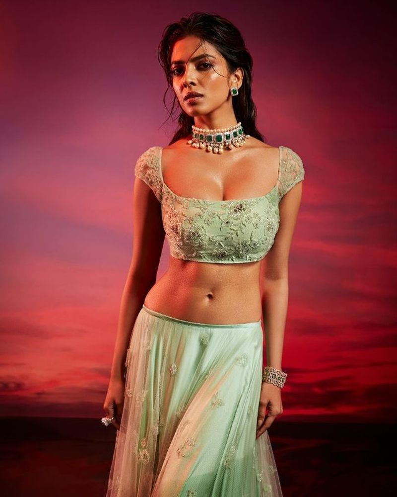 malavika Mohanan latest hot photoshoot is eye feast to youth