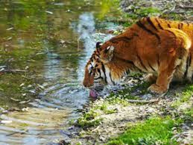 Best five places to must visit kolkata history full details are here