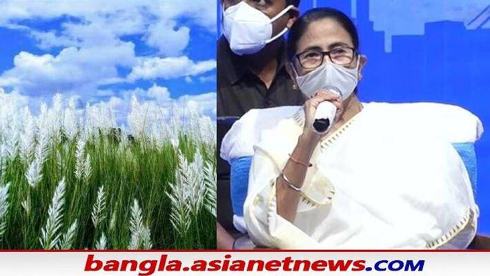 Mamata Banerjee gives new ideas about new industrial hubs in Howrah RTB Mamata Banerjee gives new ideas about new industrial hubs in Howrah RTB