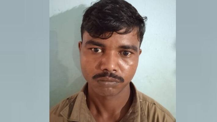 Cow raped by migrant worker caught on surveillance camera in Malappuram Cow raped by migrant worker caught on surveillance camera in Malappuram