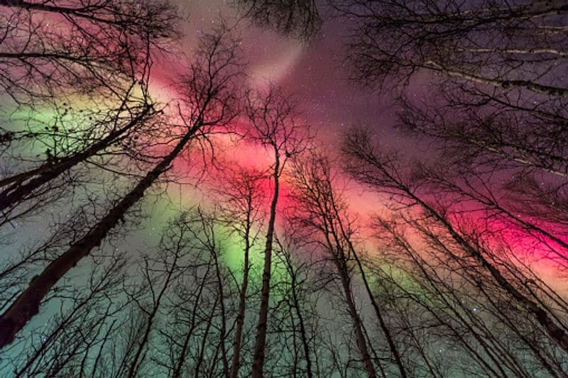 Iceland to Alaska to Canada: 7 best countries to enjoy the Northern Lights