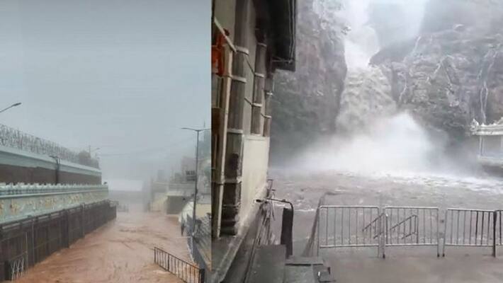 Heavy rains continued to batter Tirupati roads flooded Venkateswara temple shut disrupted connectivity ckm Heavy rains continued to batter Tirupati roads flooded Venkateswara temple shut disrupted connectivity ckm